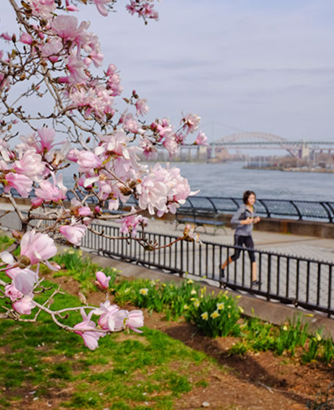 Woman jogging at NYC waterfront park with cherry blossoms and East River views near 85 East End apartments on the Upper East Side.